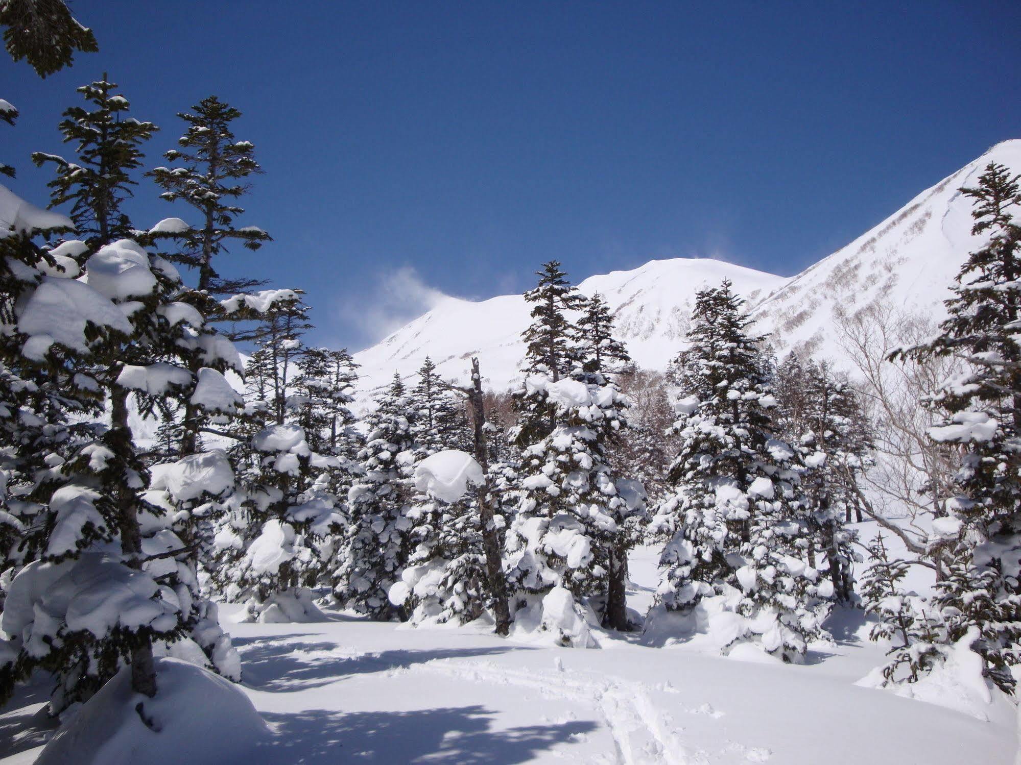 Hotel La Montagne Furuhata Хакуба Екстериор снимка