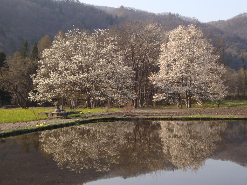 Hotel La Montagne Furuhata Хакуба Екстериор снимка